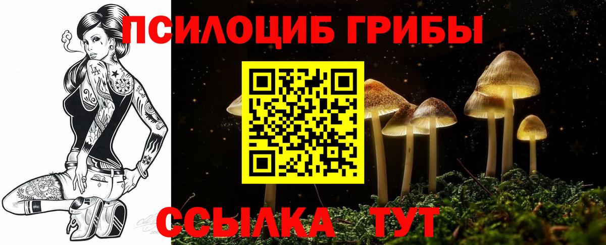 Галлюциногенные грибы Psilocybe  Псилоцибиновые грибы MAGIC MUSHROOMS  Вход с VPN  что такое наркотик  Дербент 