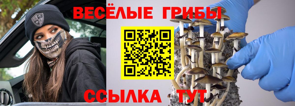Псилоцибиновые грибы мухоморы Дербент