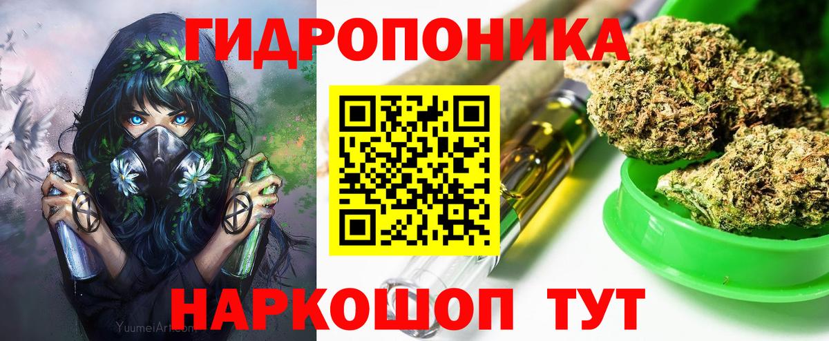 Бошки Шишки индика Дербент